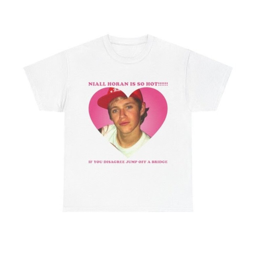 Niall Is Is So Hot Meme Shirt, Niall Horan Music Shirt, Unisex Tee, Gift For Fan